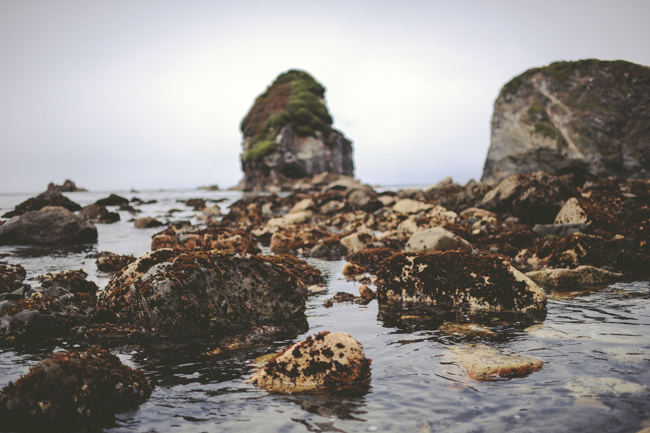 Brookings Oregon