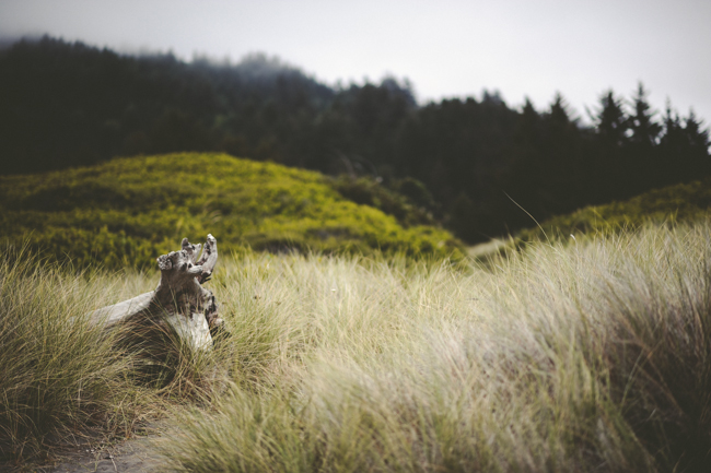 Brookings Oregon