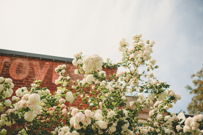 southern Oregon wedding | Jacksonville Oregon