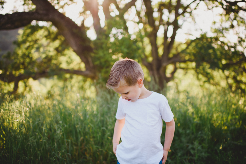 Medford Family Portraits