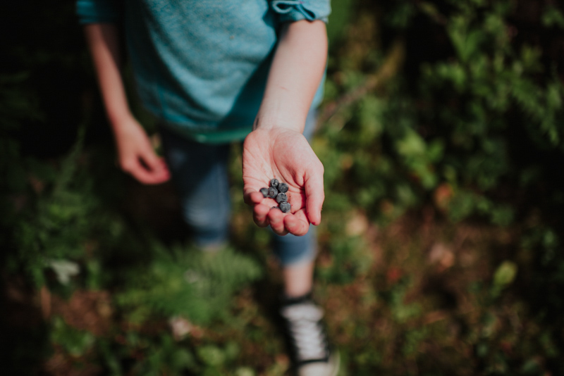 child with blueberries