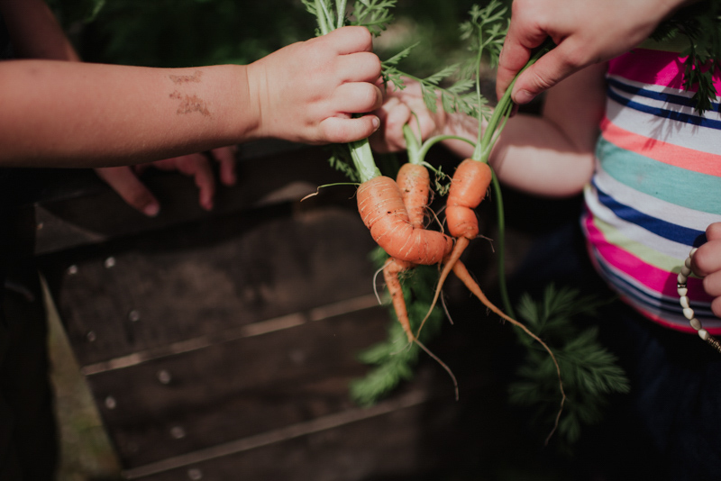 Kids with organic carrot