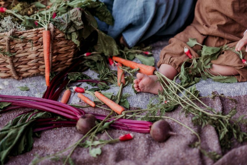 vegetable themed stylized baby shoot