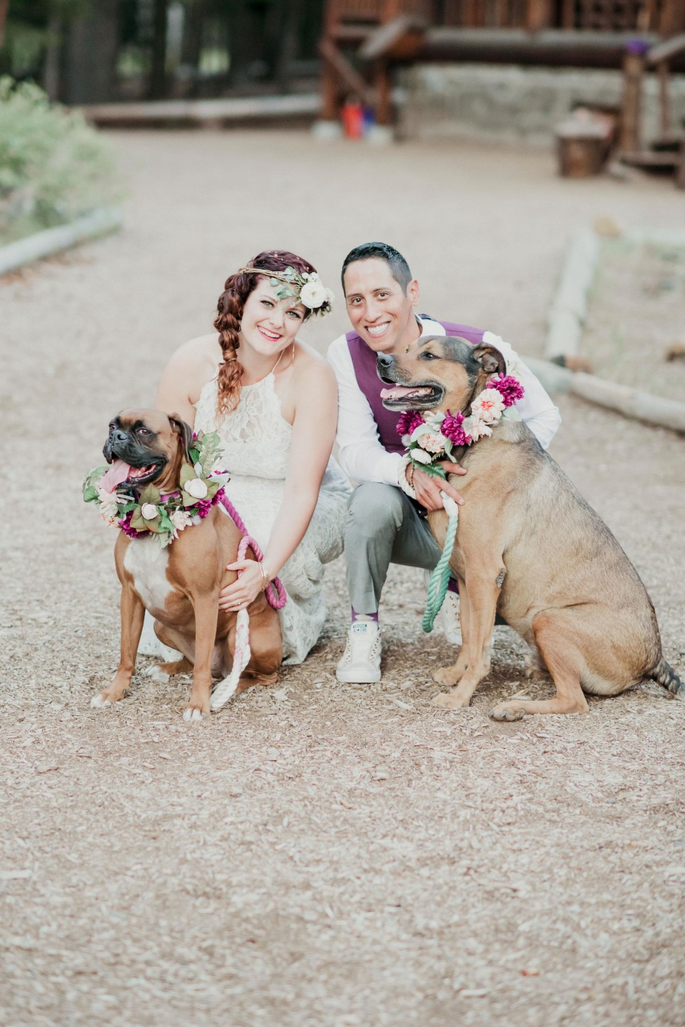 Bride and Groom with their dogs